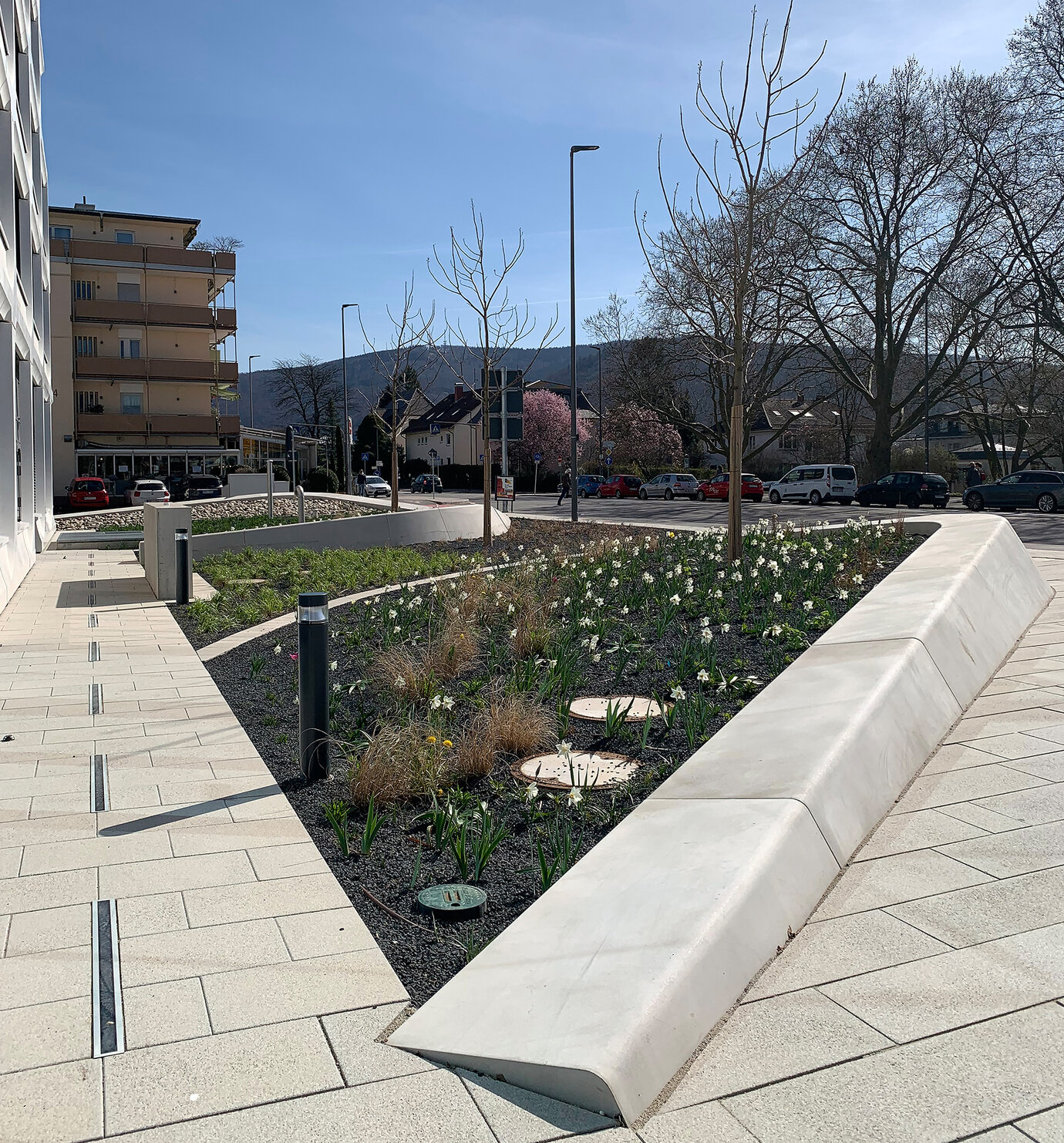 Concrete elements with extensive perennial plantings