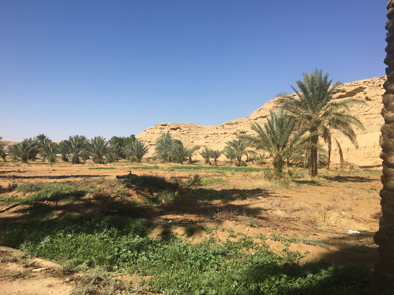 Wadi edge and farmland