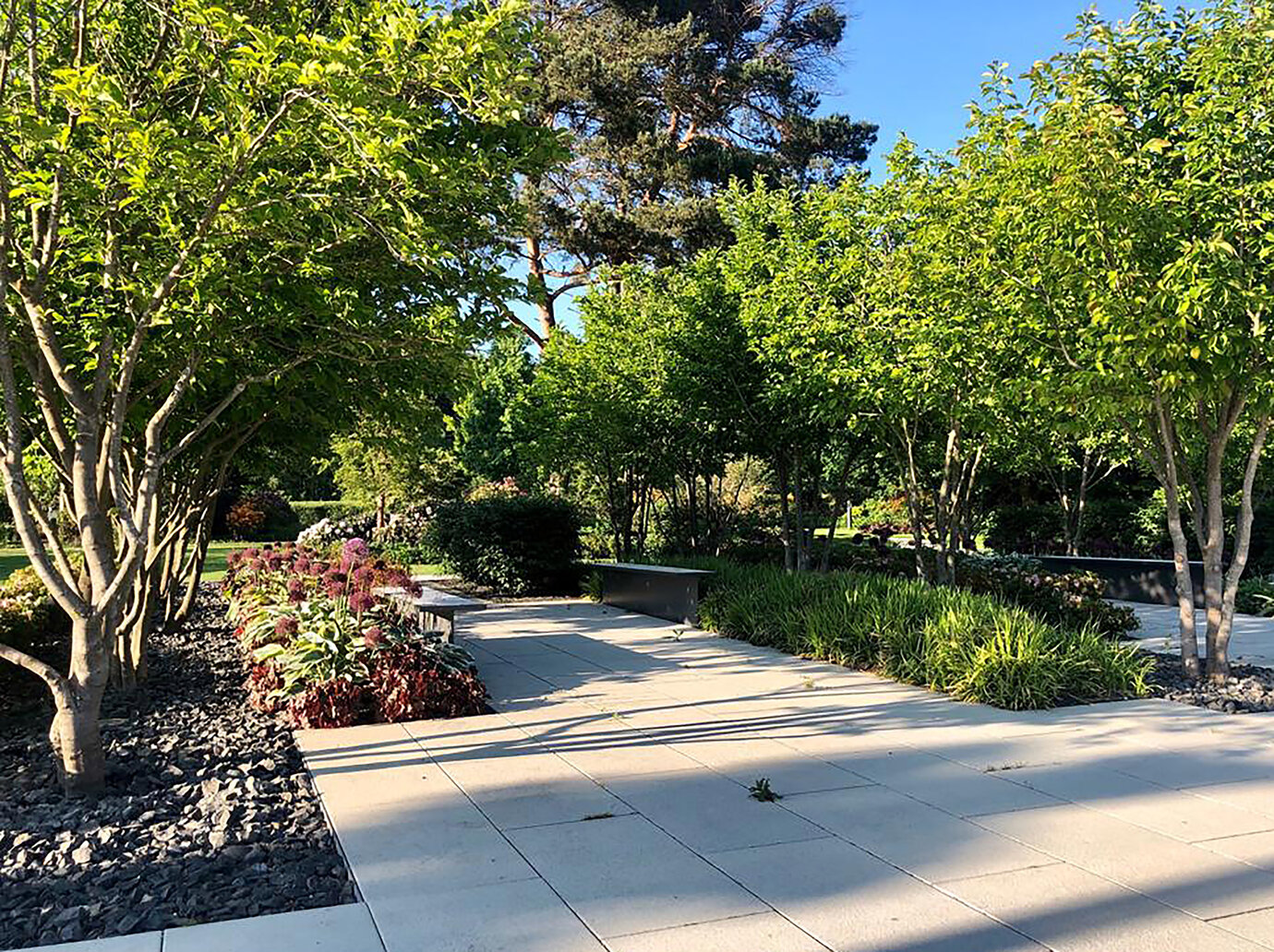 View of the headquarters across the planted reservations