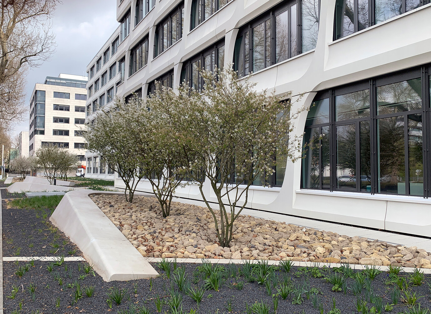 Concrete elements with riprap and rock pines