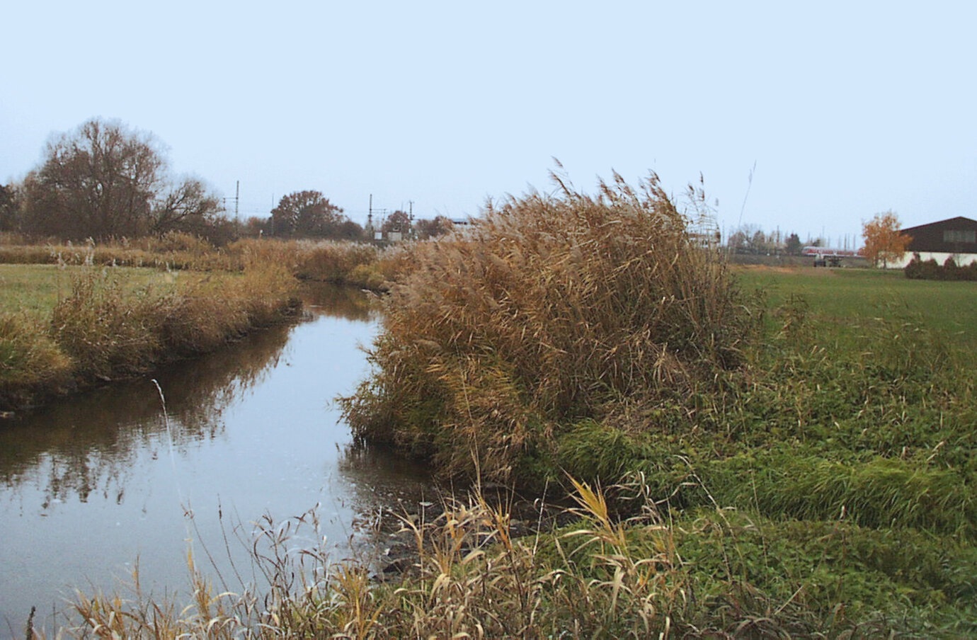 bird sanctuary (reserve)
