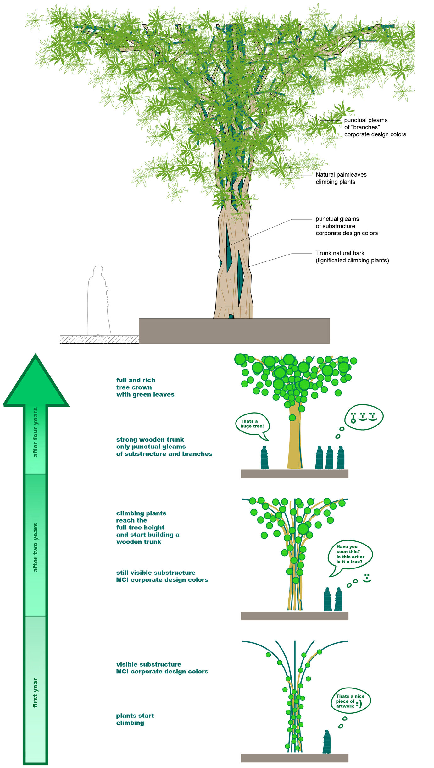 Schematic diagram illustrating the development of a tree sculpture from a steel structure with climbing plants located in the Minister’s garden.