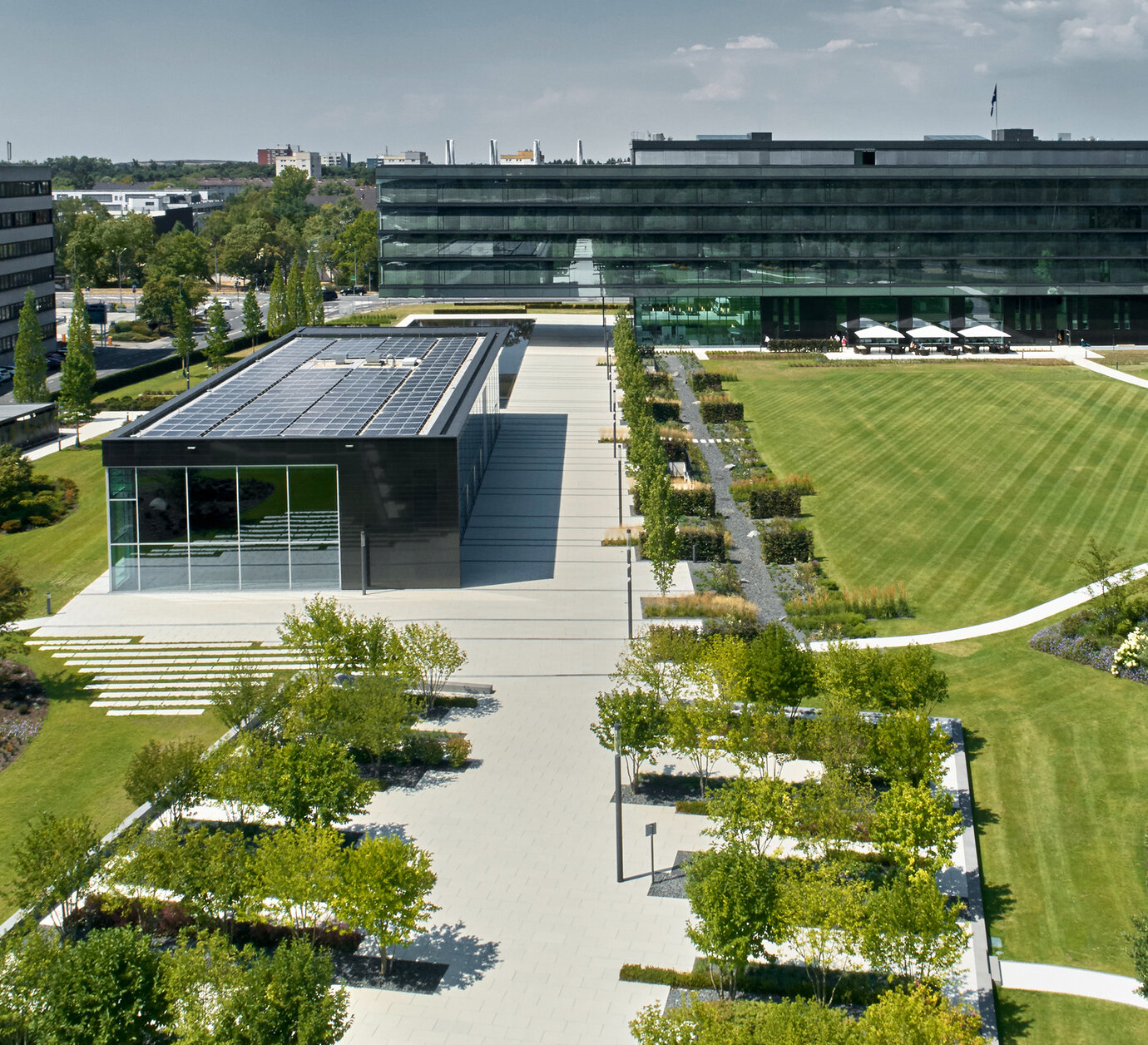View of the headquarters across the planted reservations
