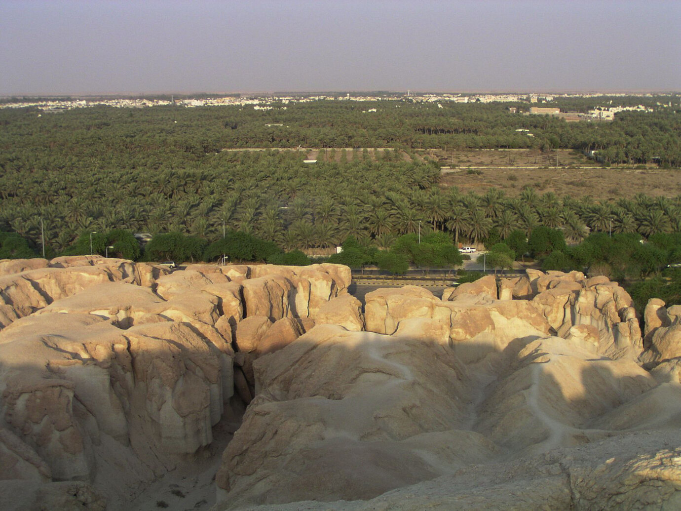 View across the date farms of the Al Ahsa Oasis